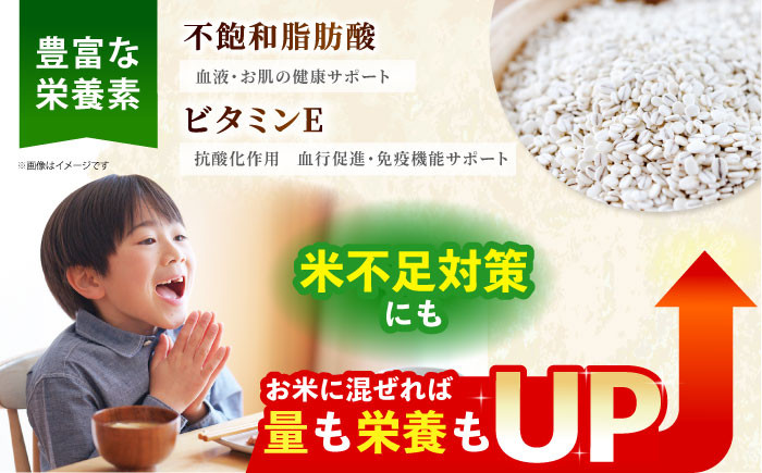 麦 雑穀 雑穀米 麦ごはん 1等麦 特別栽培農産物 佐賀 食物繊維 胚芽押麦 500g ご飯 定期便