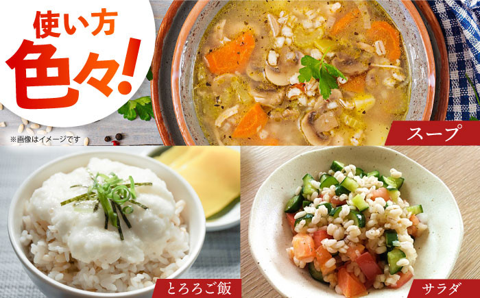 麦 雑穀 雑穀米 麦ごはん 1等麦 特別栽培農産物 佐賀 食物繊維 丸麦 500g ご飯 定期便