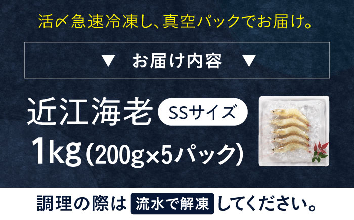 エビ 海老 えび 海鮮 魚介類 魚貝類 冷凍 小分け 国産 刺身 エビフライ
