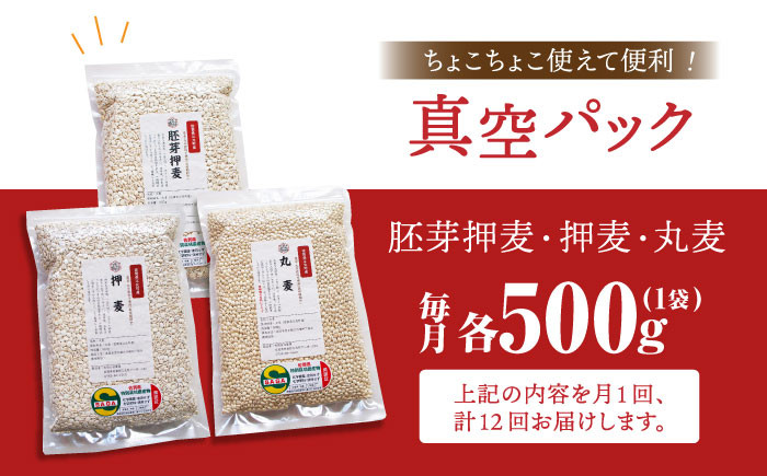 麦 雑穀 雑穀米 麦ごはん 1等麦 特別栽培農産物 佐賀 食物繊維 500g ご飯 食べ比べ セット 詰め合わせ