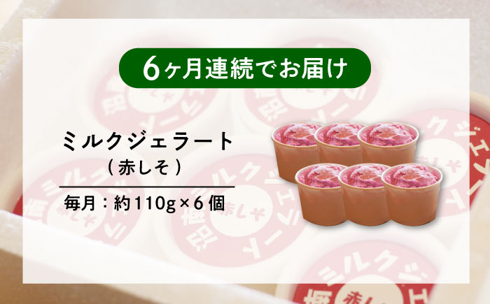 沼南ミルクジェラート 赤しそ