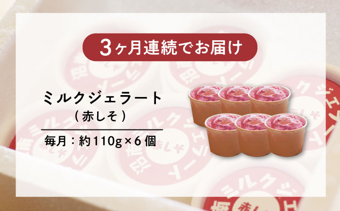 沼南ミルクジェラート 赤しそ