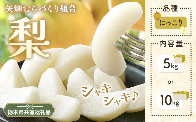 栃木県産の巨大梨!!　にっこり梨をたっぷり約5kgお届け!!