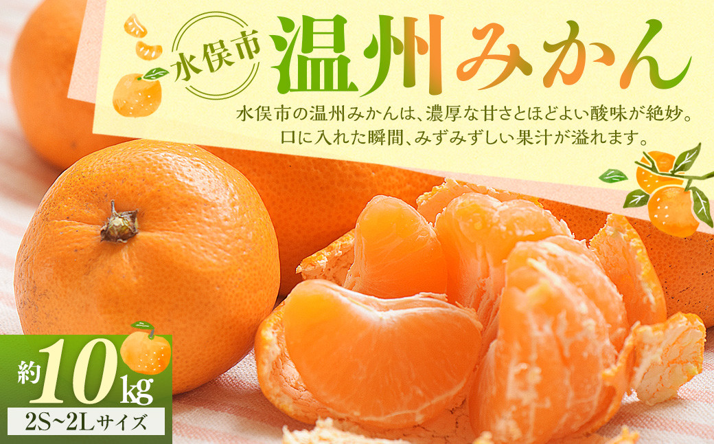 温州みかん 約10kg 2S～2Lサイズ