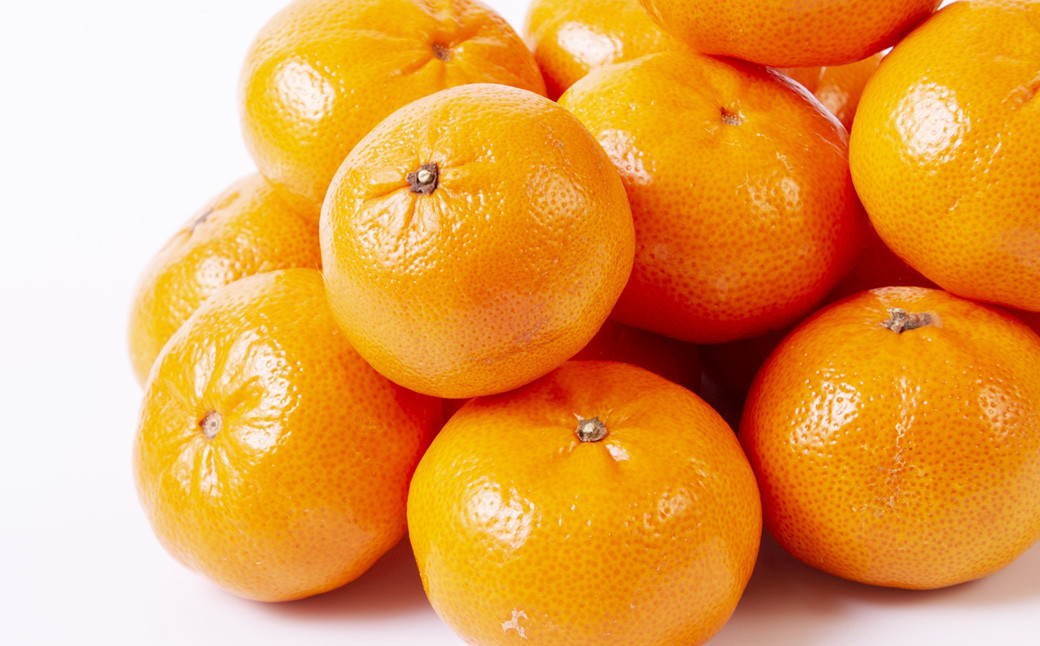 温州みかん 約5kg 2S～2Lサイズ