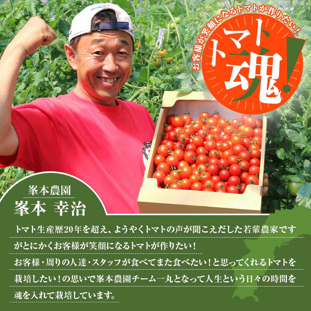 イメージです