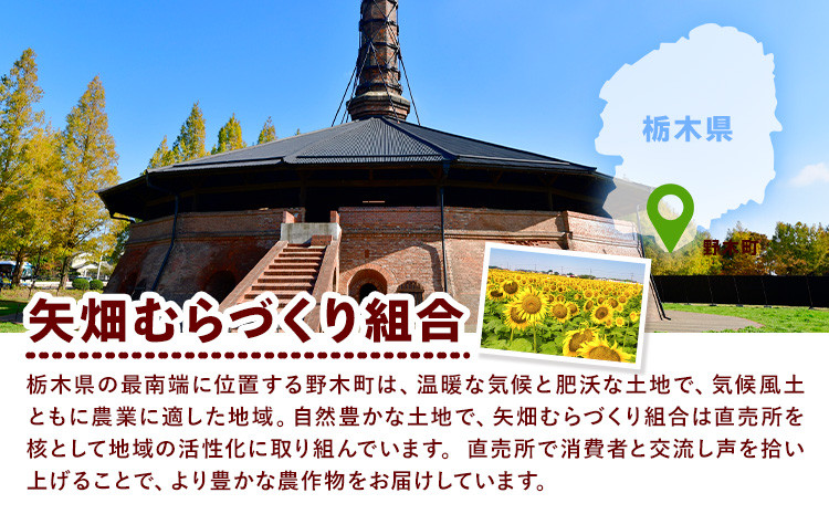 ※生産状況により、写真とは別の品種のミニトマトとなる場合がございます。