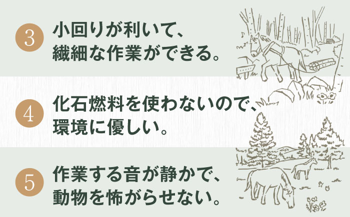 薪 まき 薪ストーブ ストーブ キャンプ 北海道 定期便