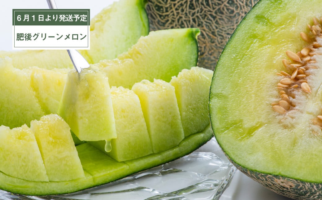 【年3回定期便】 くまもと の メロン 食べ比べ 定期便 合計4玉