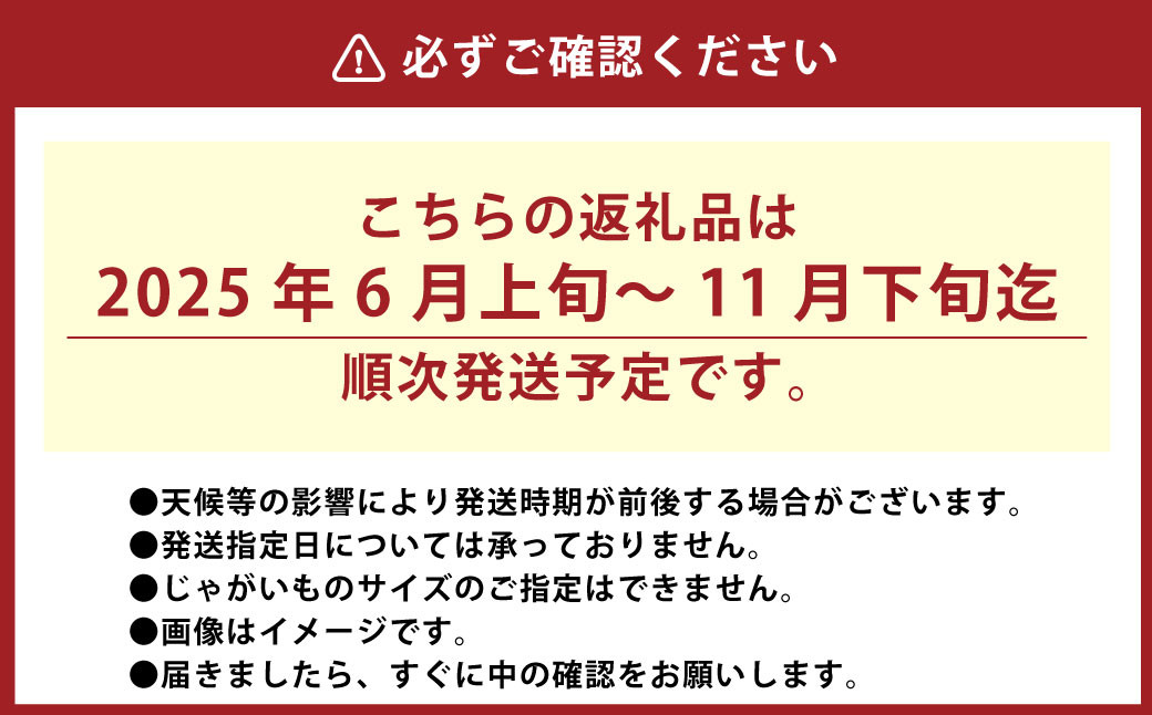L-36 神栖市産【砂付じゃがいも】約5kg 