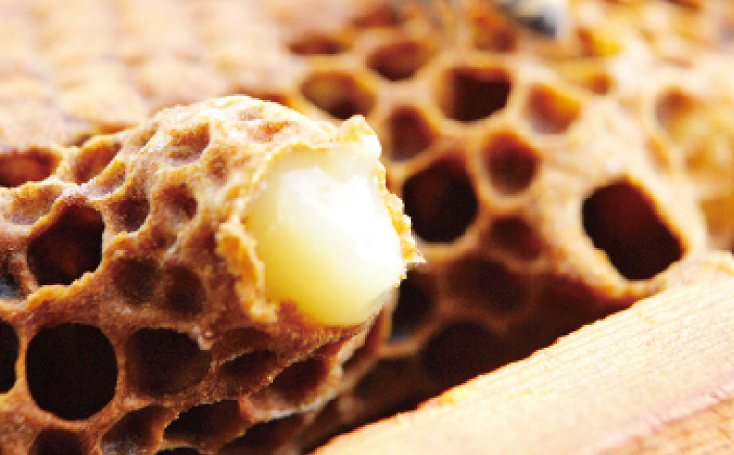 杉養蜂園 ローヤルゼリー＆プロポリス入り マヌカ蜜 500g 蜂蜜 はちみつ