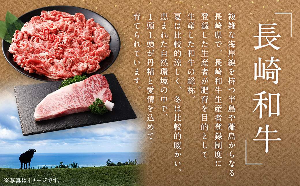 【全12回定期便】長崎和牛 切り落とし 約400g ( カタ、モモ、バラ、ロース、スネのいずれか )