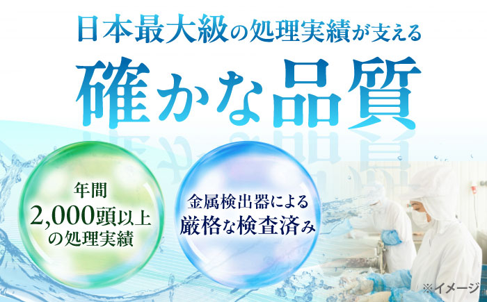 肉 イノシシ ジビエ いのしし 焼肉 ぼたん鍋 切り落とし ジビエ肉 低カロリー BBQ バーベキュー 冷凍