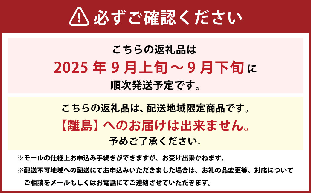 【先行予約】 しっかりした果肉と果汁たっぷりの岡山の白桃 ・ 恵白 1.5kg箱（約4個～6個）