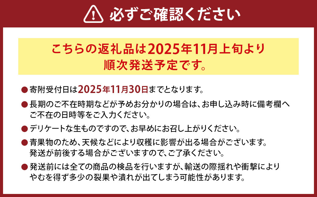 にしだ果樹園の熊本県産月読みゴールドキウイ サイズ混合 約2kg