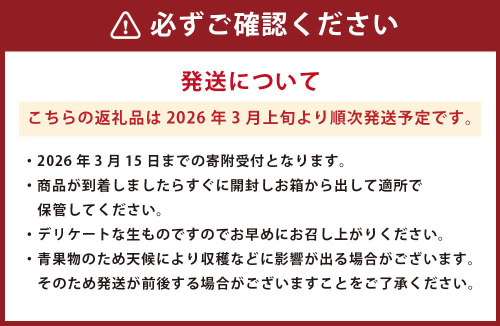 熊本県産 苺 旬の品種 (2種) 約1.5キロ 前後