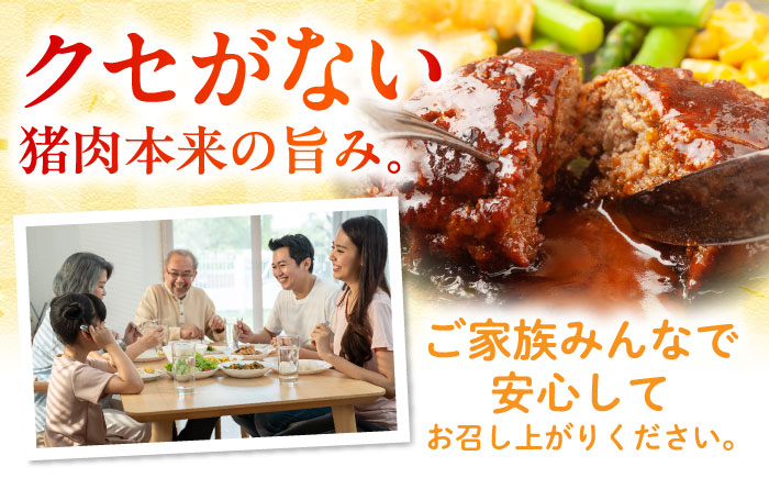 ひき肉 肉 イノシシ ジビエ いのしし ハンバーグ 低カロリー 冷凍