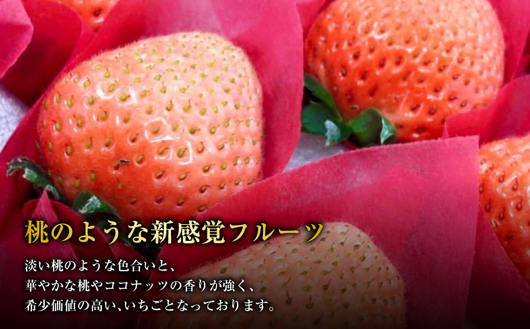 にべさんちの苺 熊本県産イチゴ極み桃薫(とうくん)