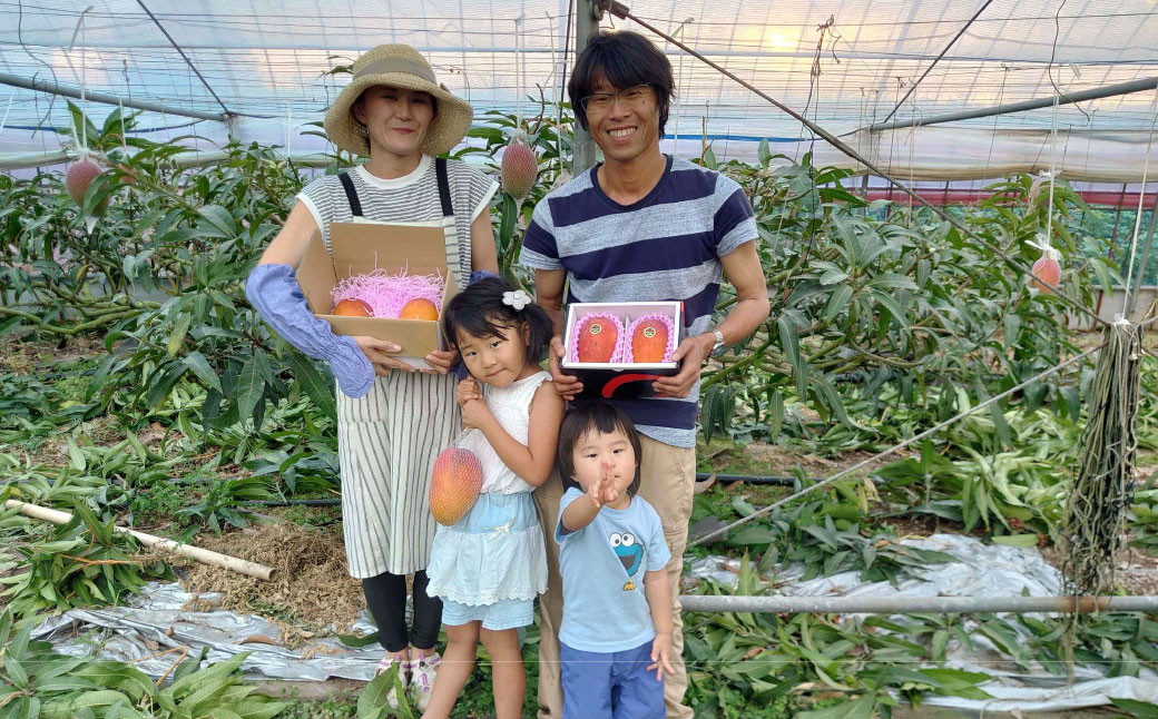 熊本県産 完熟マンゴー（化粧箱入） 2L（3玉入）