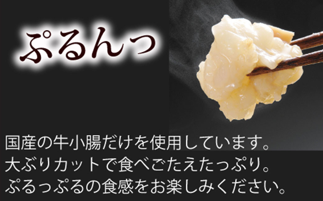 【本場博多のもつ鍋をご家庭で】博多もつ鍋やまや もつ鍋セット こく味噌味(1-2人前)