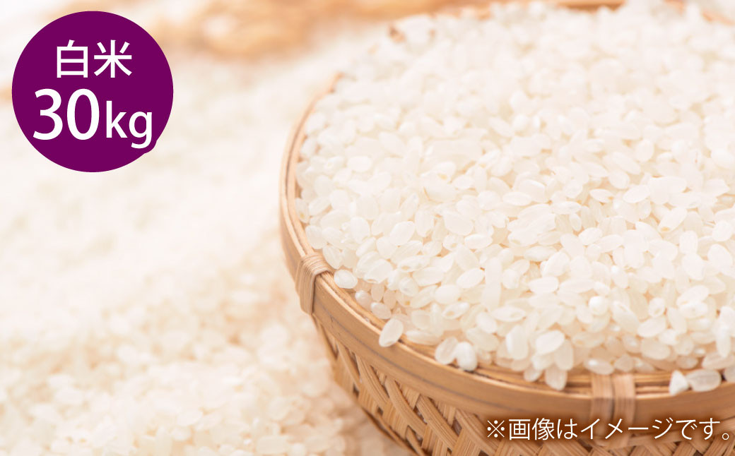 きぬむすめ 白米 30kg 岡山県倉敷市産