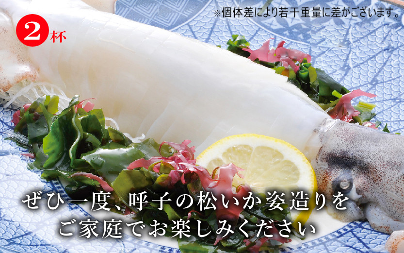 ※画像はイメージです。