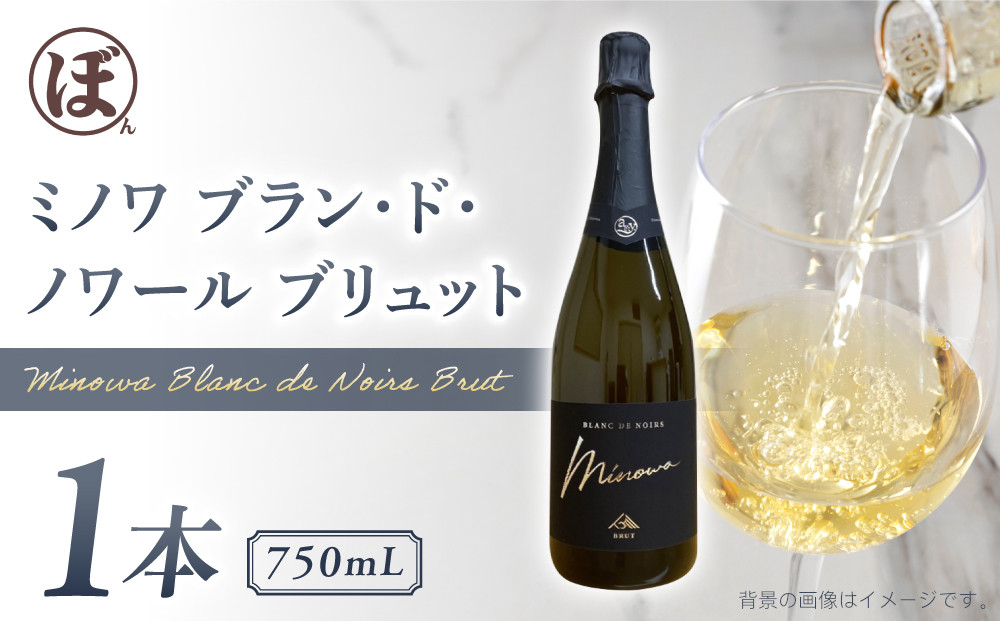 ※画像とはヴィンテージが異なる場合がございます