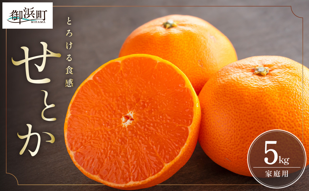 【2026年発送 先行予約品】