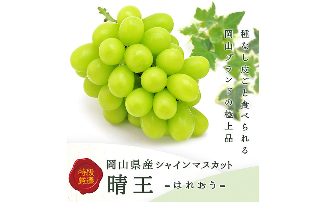 シャインマスカット【晴王】　950g前後 1房（化粧箱入り）