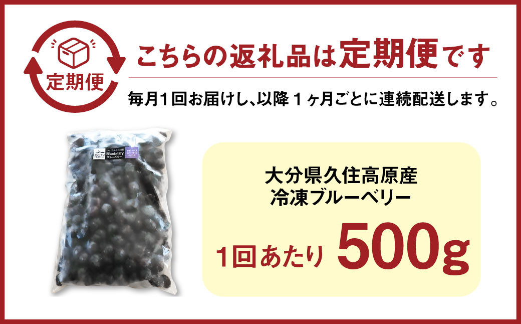 【3回 定期便】久住高原 冷凍 ブルーベリー 500g 栽培期間中農薬不使用 手摘み