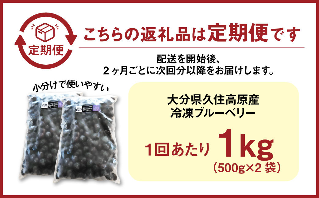 【2ヶ月毎2回 定期便】久住高原 手摘み ブルーベリー 冷凍 500g 2袋 小分け 栽培期間中農薬不使用