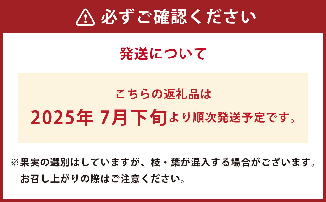 【2ヶ月毎2回 定期便】久住高原 手摘み ブルーベリー 冷凍 500g 2袋 小分け 栽培期間中農薬不使用