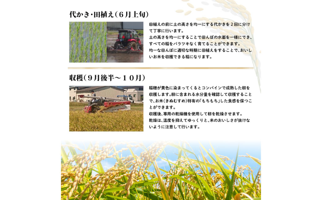 岡山県倉敷市産 きぬむすめ 白米 20kg