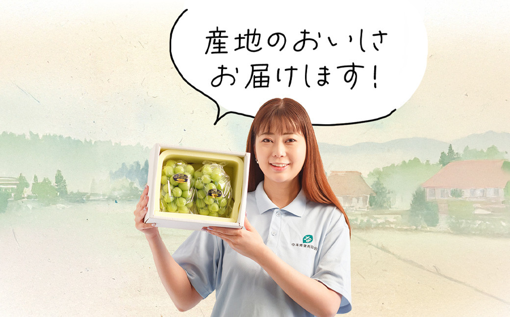 【2回定期便】岡山県産 フルーツ定期便コース（白桃・ シャインマスカット晴王）