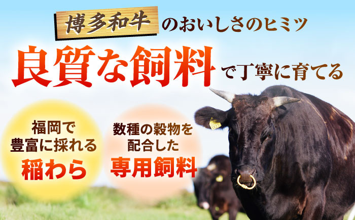 牛肉 和牛 赤身 赤身肉 霜降り