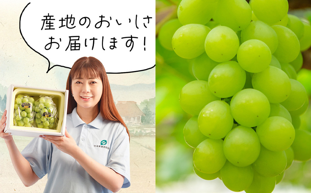 【5回定期便】岡山県産 フルーツ定期便コース