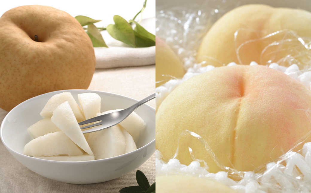 【5回定期便】岡山県産 フルーツ定期便コース