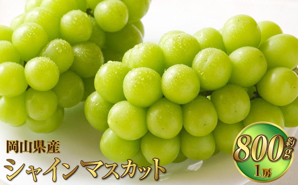 岡山県産 シャインマスカット 晴王 約800g（1房）