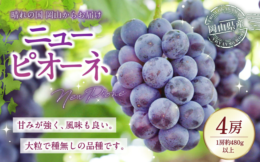 岡山県産 ニューピオーネ4房（1房480g以上） 約2kg