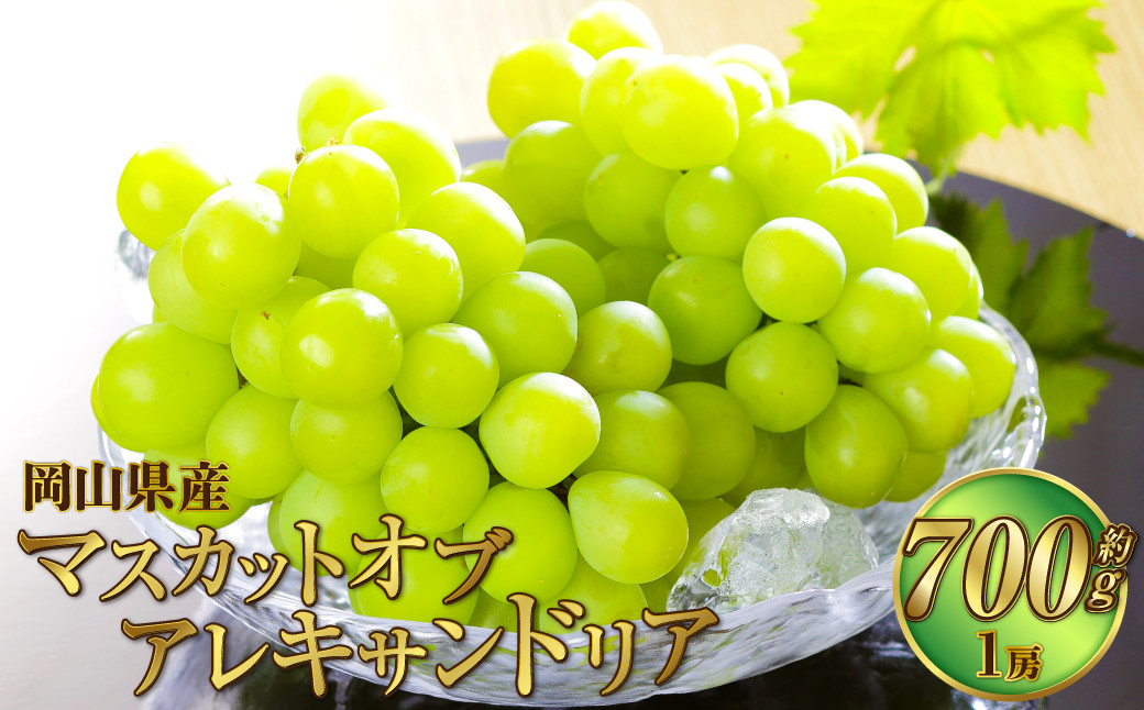 岡山県産 マスカット・オブ・アレキサンドリア 約700g（1房）