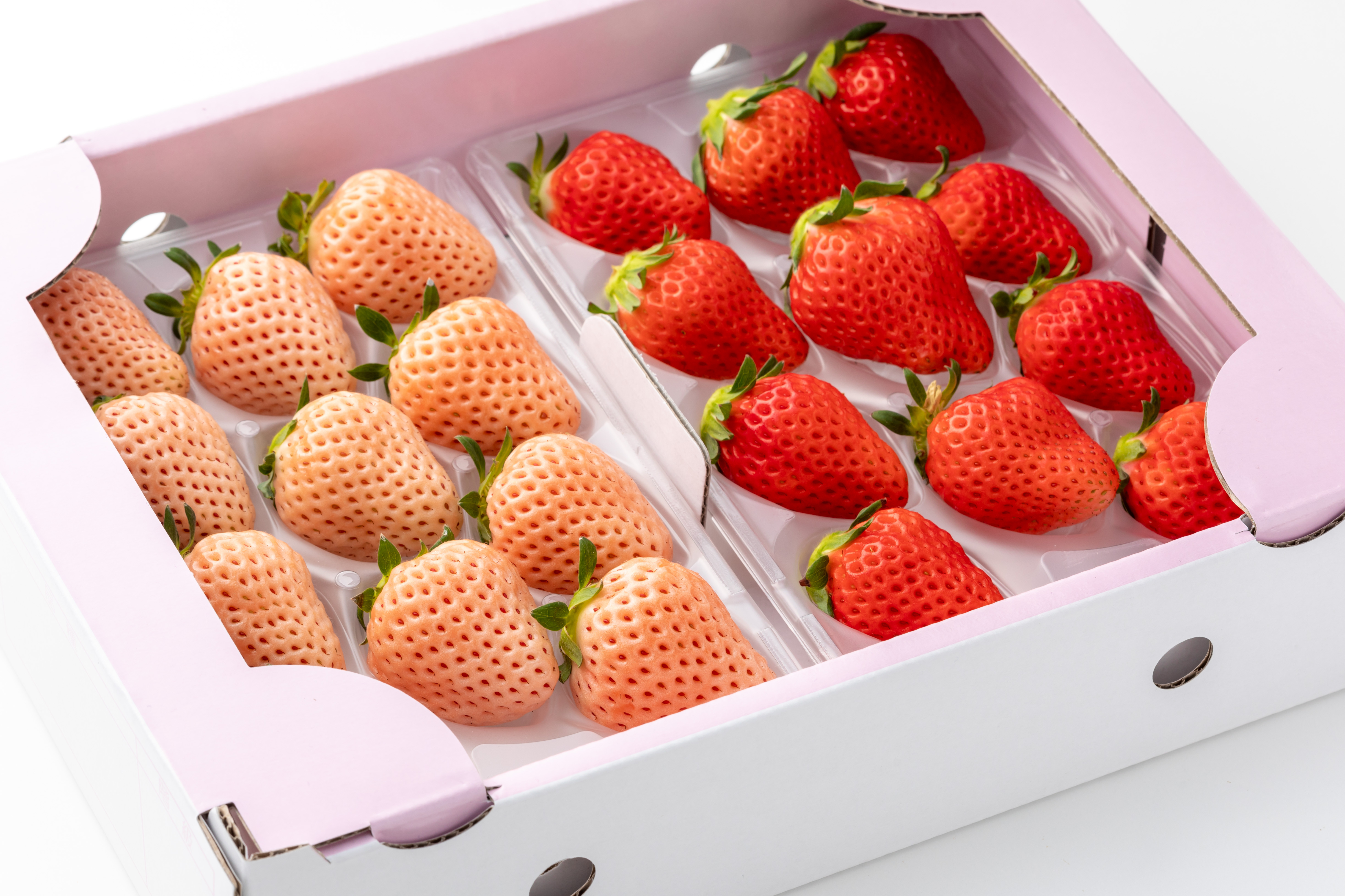 左：淡雪／右：さがほのか
お届けは、さがほのか220ｇ×2ｐ、淡雪220ｇ×2ｐです。