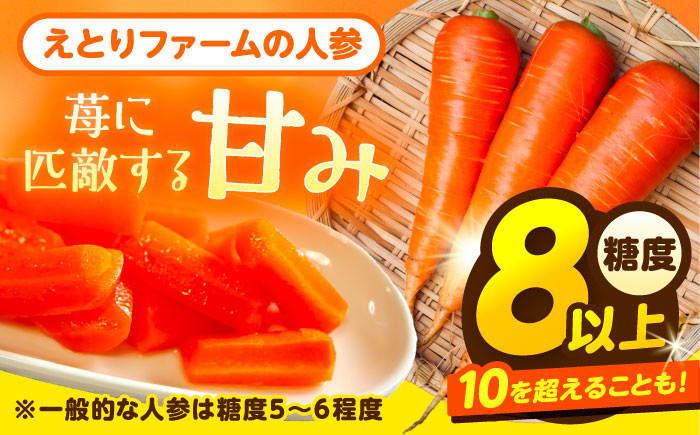北海道産 甘い 人参 野菜 根菜 ニンジン 糖度高め サラダ ジュース 生鮮野