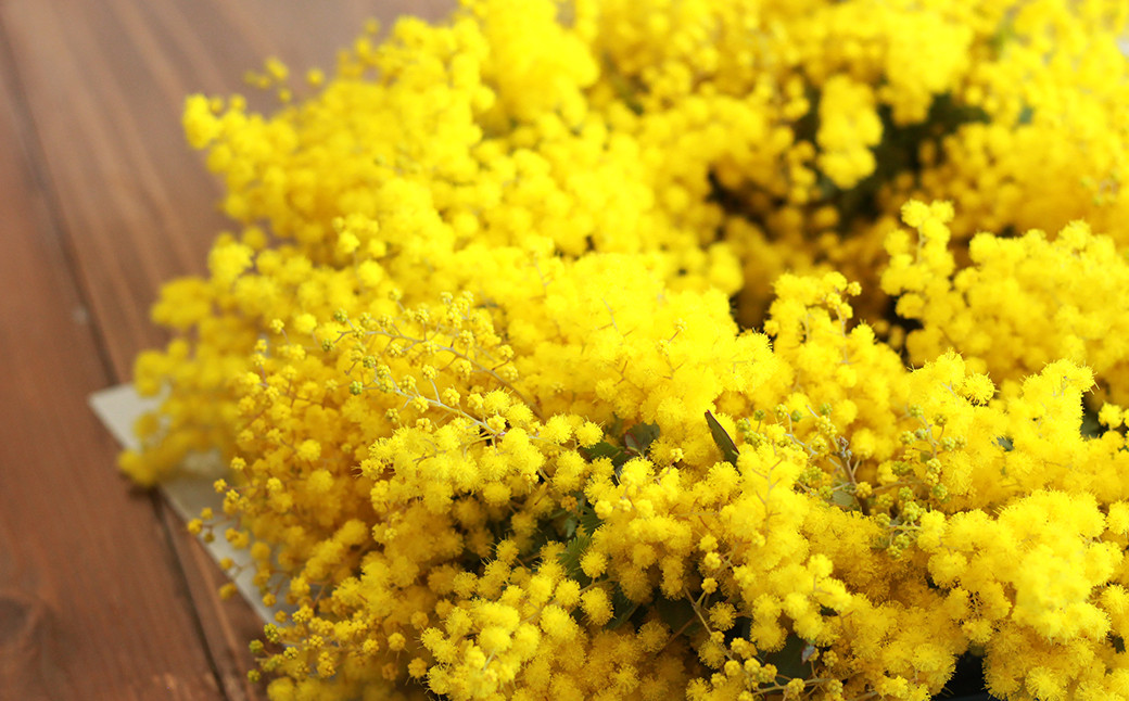 フレッシュ ミモザのリース