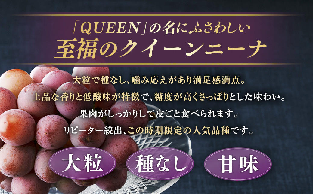 【種なし】 岡山県産 クイーンニーナ 1kg箱（2~3房房入り）