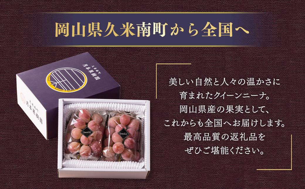 【種なし】 岡山県産 クイーンニーナ 1kg箱（2~3房房入り）
