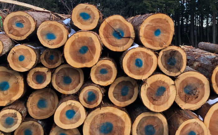 薪 焚き火 ストーブ アウトドア 郷山薪 乾燥 暖炉 キャンプ バーベキュー 贈答 ギフト おすすめ 人気 岐阜県 恵那市