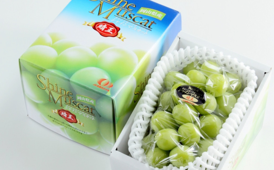 岡山県産 シャインマスカット 晴王 約600g（1房）