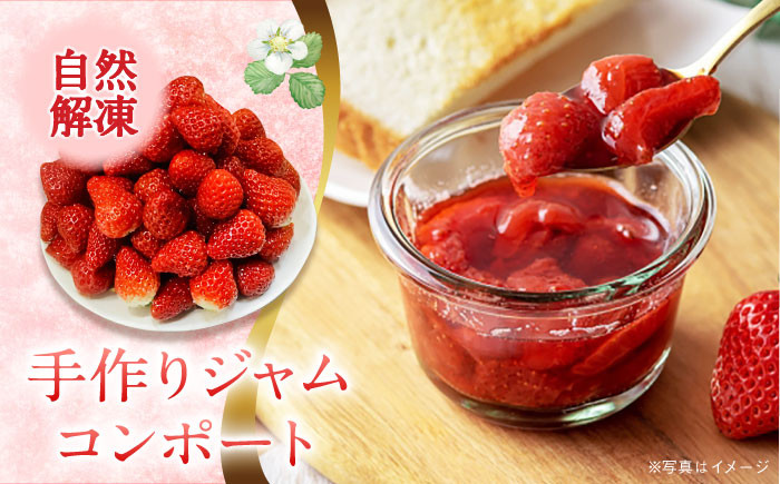 冷凍 いちご イチゴ 苺 ゆめの香 ゆめのか  長崎県 ながさき 長崎 果物 くだもの フルーツ