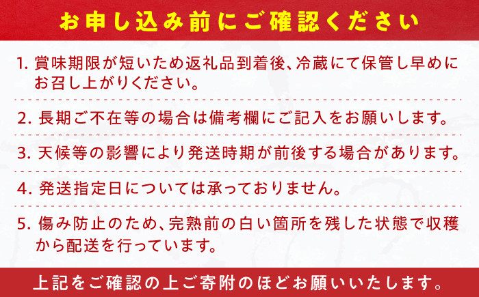 果物 あまおうDX等級 いちご イチゴ 苺 アマオウ