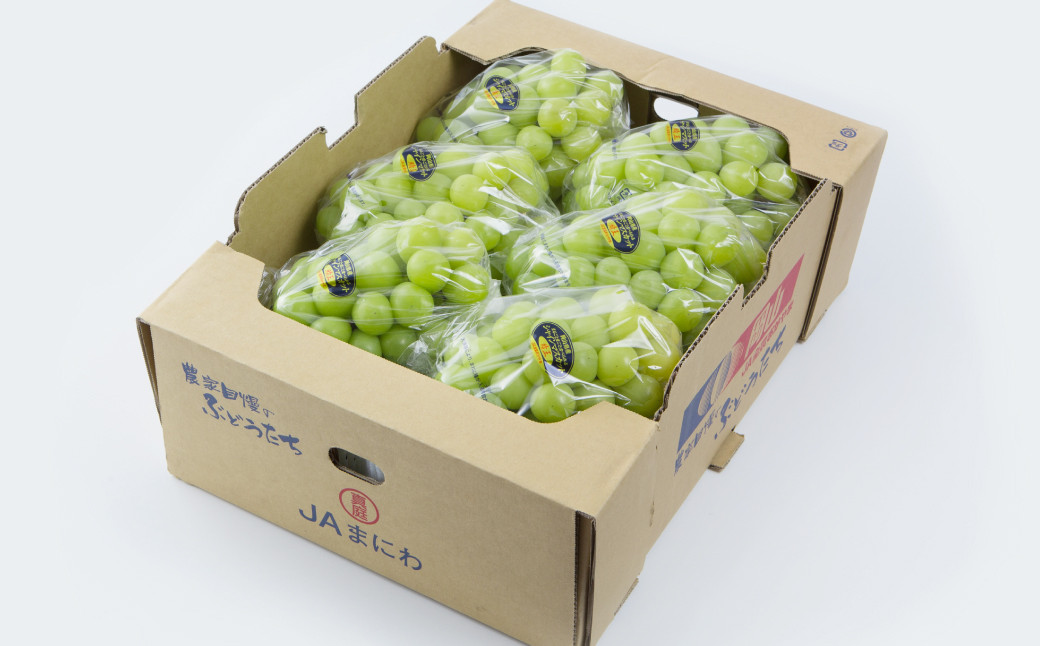 岡山県産 シャインマスカット 晴王 約5kg（5房～10房）